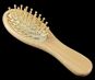 Small Wooden Hair Brush (80p Each)