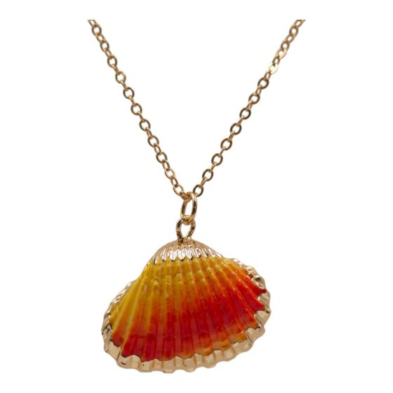 Shell Pendant