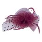 Ladies Fascinator On Concord -(£1.80 Each )