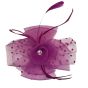 Ladies Summer fascinators -(£2.75 Each )