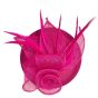 Ladies Sinamay Fascinators 