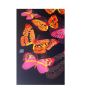 Butterfly Chiffon Scarf ( £1.60 Each )