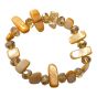 Genuine Shell Elasticated Ladies Bracelets (£0.95 Each )