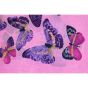 Butterfly Chiffon Scarves (£1.45 Each)