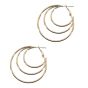 Pierced Hoop Earrings (35p per pair)