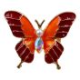 Gold colour plated butterfly design brooch with a genuine AB crystal stone, a imitation pearl and coloured enamelling.