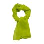 Bright Summer Chiffon Scarves