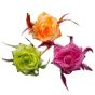 Assorted Neon Hair Flowers