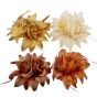 Assorted Natural Coloured Hair Flower Elastic/Brooch 