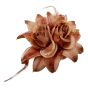 Assorted Natural Coloured Hair Flower Elastic/Brooch 