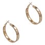 Gold or Rhodium colour plated pierced hoop earrings.
