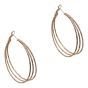 Gold or Rhodium colour plated pierced hoop earrings.