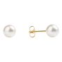 Studex Gold plated stainless steel, sensitive stud earrings with White pearls
Sensitive range are hypo-allergenic and ideal for sensitive ears.
Measuring 7mm in diameter.
