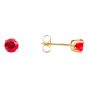 Studex Gold plated stainless steel, sensitive July birthstone stud earrings with Ruby cubic zirconia stones.
Sensitive range are hypo-allergenic and ideal for sensitive ears.
Measuring 5mm in diameter.
