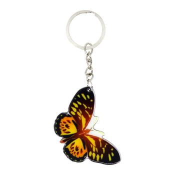 Assorted Butterfly Keyrings (20p Each)