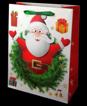 Glittery Santa Gift Bags (38p Each)