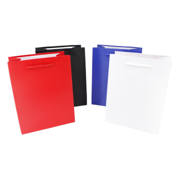Plain paper gift bags with cord handles.
In assorted spectator colours 