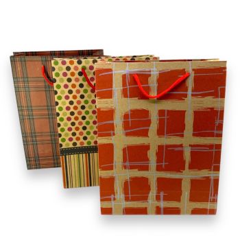 Assorted Paper Gift Bag 