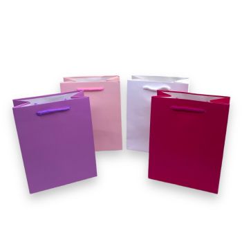 Assorted Plain Paper gift Bags 