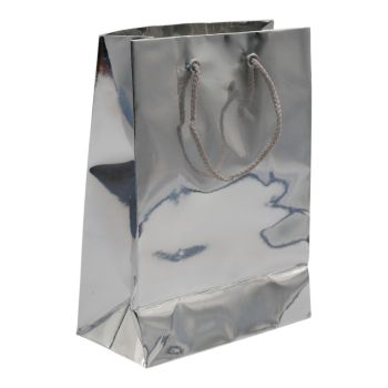 Limited Offer!

Glossy silver colour gift bag with cord handles.

Measures approximately 21cm x 15cm.

Sold as box of 300 pcs