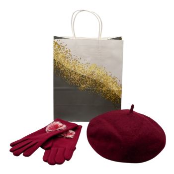 Ladies Pompom Winter Gloves and Beret Gift Set