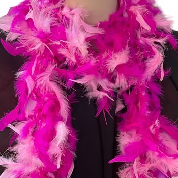 Fuchsia and Baby Pink mix colour feather boas.
Ideal for fancy dress, party, festivals and concerts.


